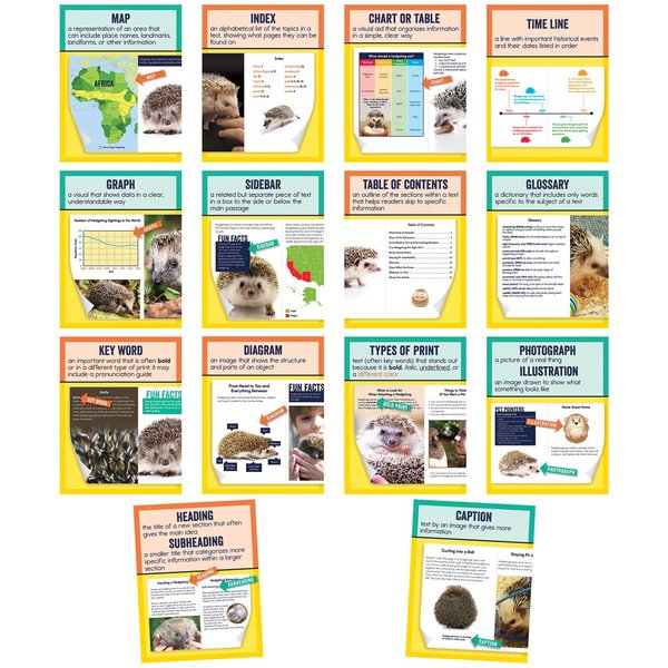 Carson Dellosa Mini Posters - Nonfiction Text Features 14 Poster Set, Grade 1-6 106011